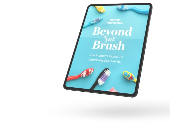 ProvaDent bonus guide Beyond the Brush